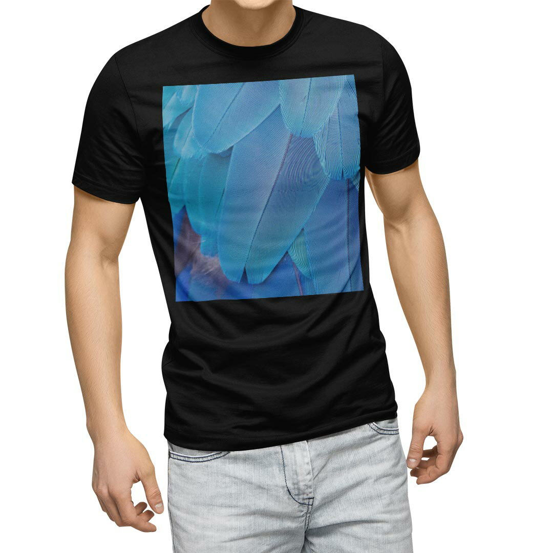 tシャツ メンズ 半袖 ブラック デザイン XS S M L XL 2XL Tシャツ ティーシャツ T shirt　黒 022996 羽根　写真
