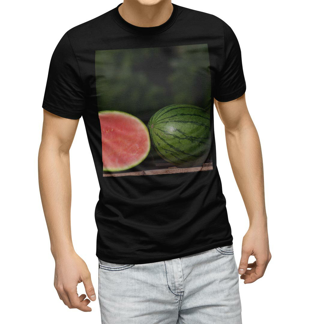 tシャツ メンズ 半袖 ブラック デザイン XS S M L XL 2XL Tシャツ ティーシャツ T shirt 黒 023561 スイカ 果物 フルーツ