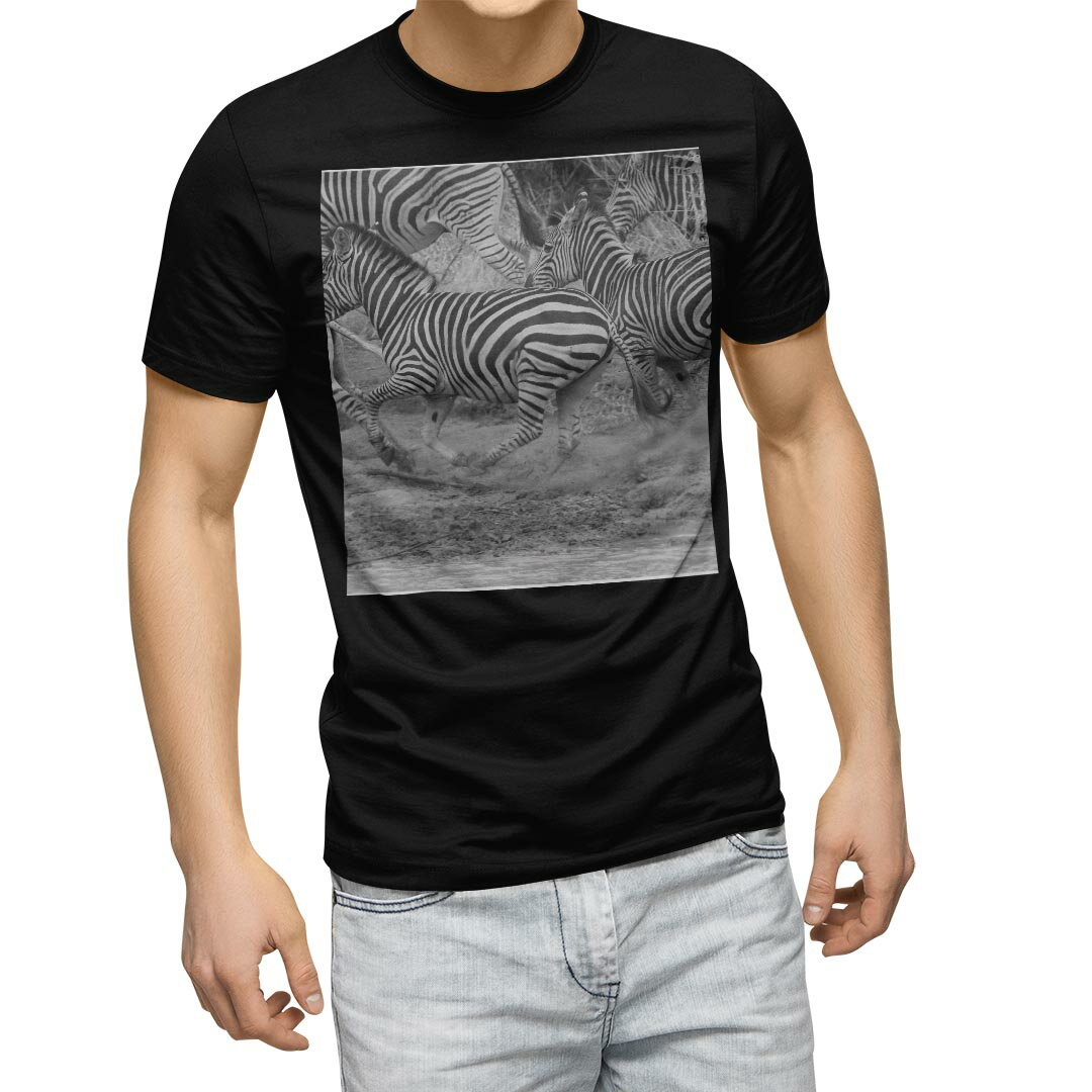 Other - tシャツ メンズ 半袖 ブラック デザイン XS S M L XL 2XL Tシャツ ティーシャツ T shirt　黒 023996 しまうま　動物　写真