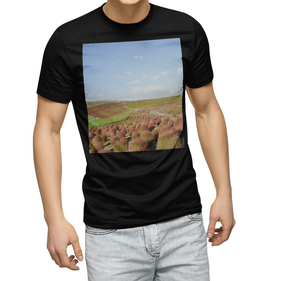 tシャツ メンズ 半袖 ブラック デザイン XS S M L XL 2XL Tシャツ ティーシャツ T shirt 黒 009816 風景 景色 写真