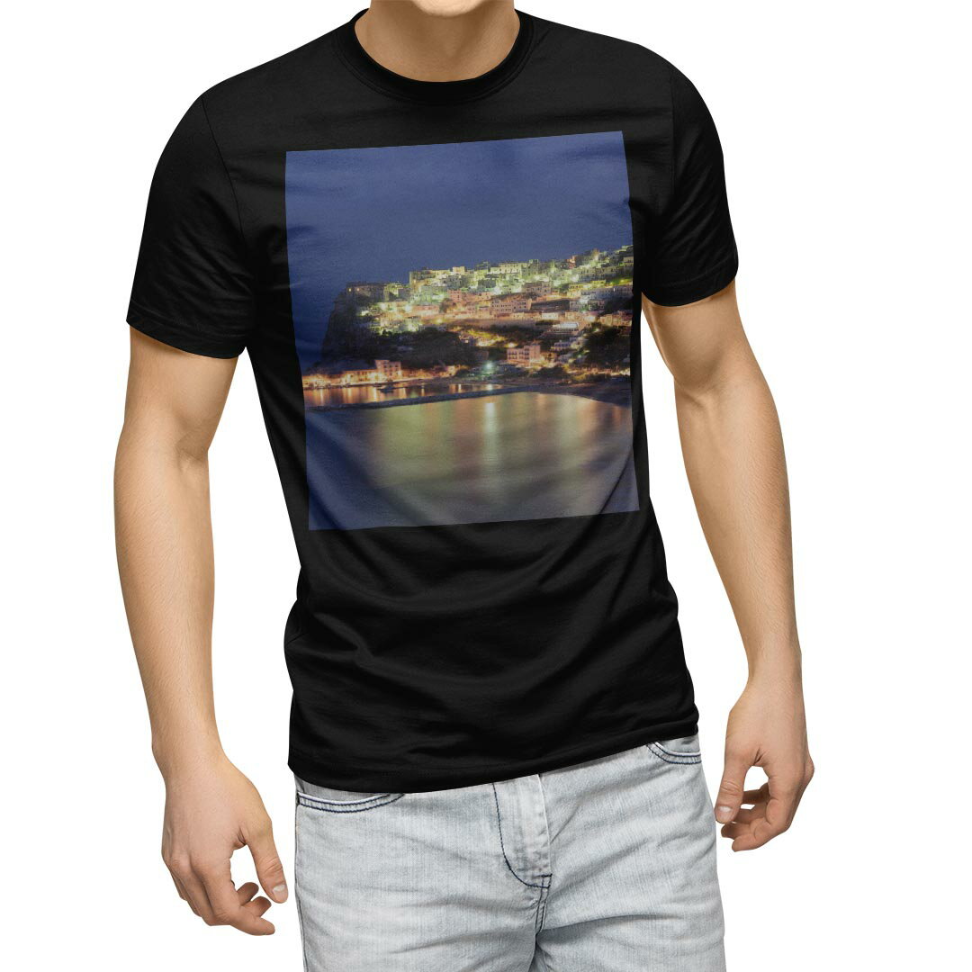 tシャツ メンズ 半袖 ブラック デザイン XS S M L XL 2XL Tシャツ ティーシャツ T shirt　黒 010382 風景　景色　写真