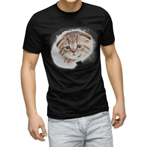 tシャツ メンズ 半袖 ブラック デザイン XS S M L XL 2XL Tシャツ ティーシャツ T shirt 黒 013568 猫 写真 子猫 tシャツ メンズ 半袖 ブラック デザイン XS S M L XL 2XL Tシャツ ティーシャツ T shirt 黒 013568 猫 写真 子猫