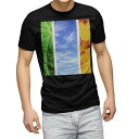 tシャツ メンズ 半袖 ブラック デザイン XS S M L XL 2XL Tシャツ ティーシャツ T shirt 黒 014084 夏 ひまわり 空