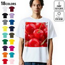 ドライTシャツ メンズ 吸水 速乾 DRY 選べる18カラー! 半袖 デザインドライTシャツ スポーツ ゆったり ティーシャツ T shirt 001597 さくらんぼ 果実