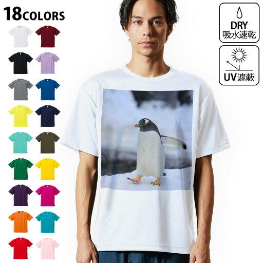 ドライTシャツ メンズ 吸水 速乾 DRY 選べる18カラー! 半袖 デザインドライTシャツ スポーツ ゆったり ティーシャツ T shirt 004679 動物 ペンギン 写真 ドライTシャツ メンズ 吸水 速乾 DRY 選べる18カラー! 半袖 デザインドライTシャツ スポーツ ゆったり ティーシャツ T shirt 004679 動物 ペンギン 写真