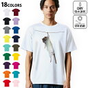 ドライTシャツ メンズ 吸水 速乾 DRY 選べる18カラー! 半袖 デザインドライTシャツ スポーツ ゆったり ティーシャツ T shirt 005911 写真 動物 ねずみ
