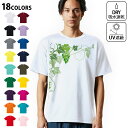 ドライTシャツ メンズ 吸水 速乾 DRY 選べる18カラー! 半袖 デザインドライTシャツ スポーツ ゆったり ティーシャツ T shirt 010077 植物 ぶどう 緑