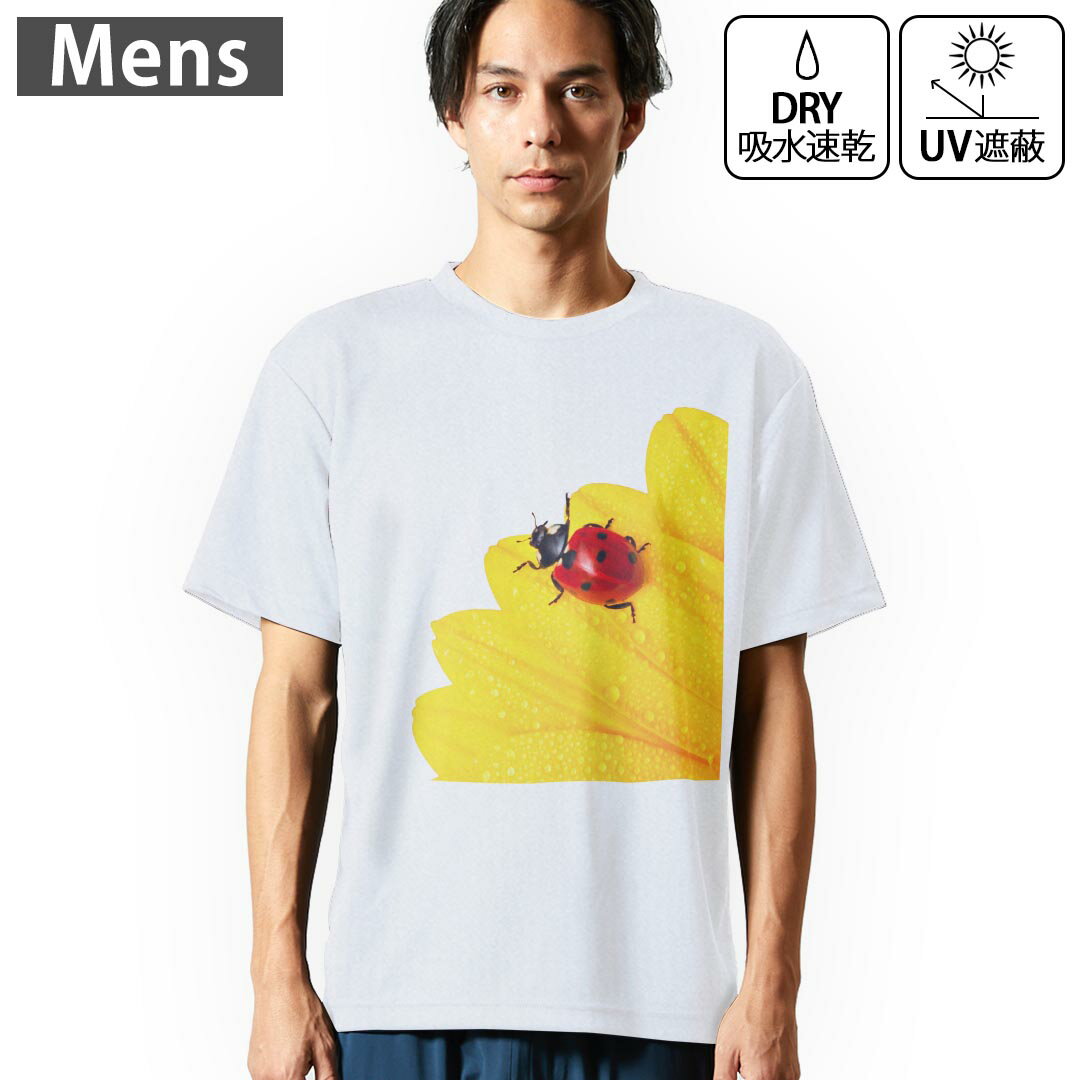メンズ ドライTシャツ ホワイト 半袖 4.1オンス ジム トレーニング スポーツ 運動会 ドライアスレチック UVカット 紫外線遮蔽 吸水速乾 デザイン Tshirt S M L XL 2XL 3XL 4XL 5XL 6XL 001580 花　テントウムシ　花びら