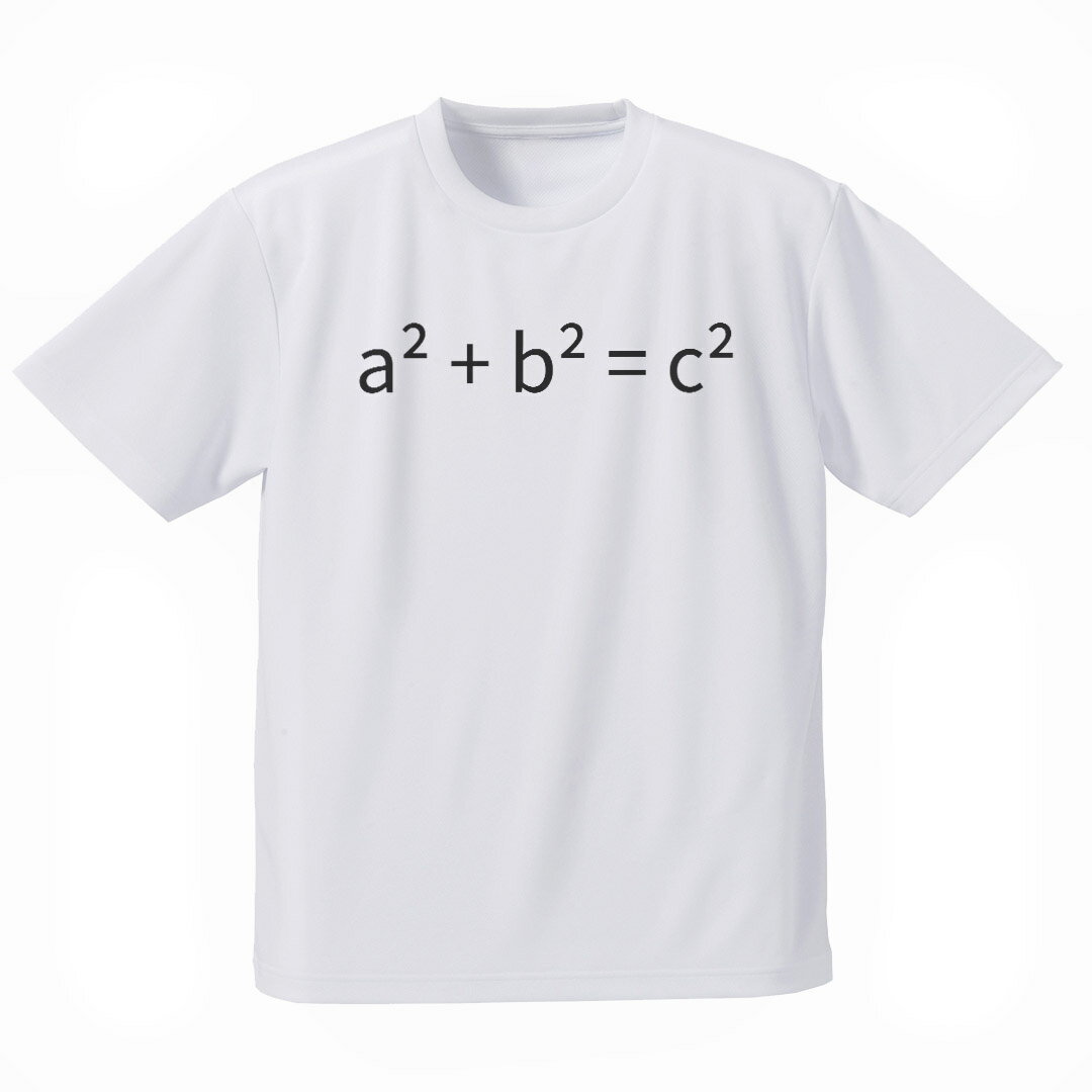 メンズ ドライTシャツ ホワイト 半袖 4.1オンス ジム トレーニング スポーツ 運動会 ドライアスレチック UVカット 紫外線遮蔽 吸水速乾 デザイン Tshirt S M L XL 2XL 3XL 4XL 5XL 6XL 017699 方程式 ピタゴラス数　a2 + b2 = c2