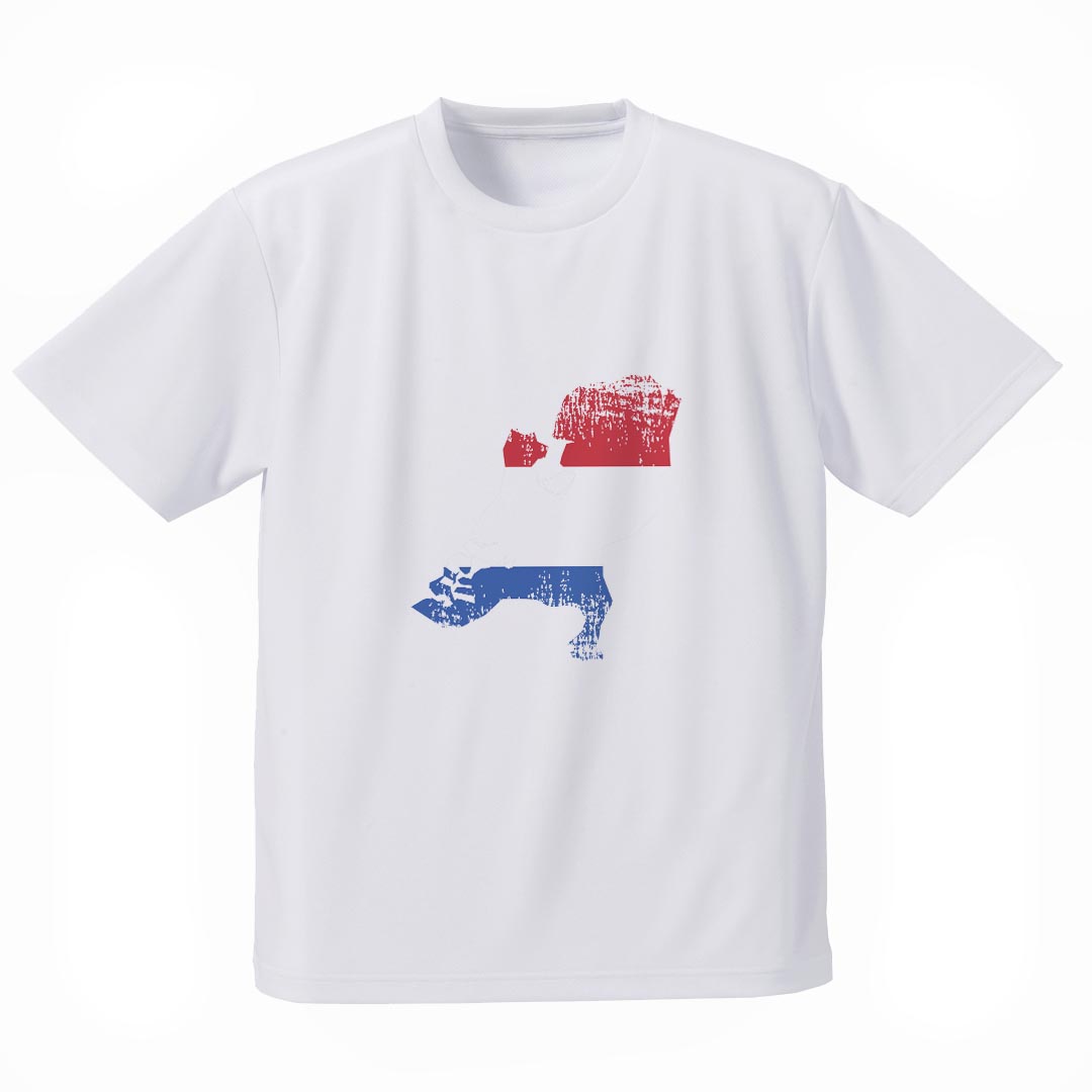 メンズ ドライTシャツ ホワイト 半袖 4.1オンス ジム トレーニング スポーツ 運動会 ドライアスレチック UVカット 紫外線遮蔽 吸水速乾 デザイン Tshirt S M L XL 2XL 3XL 4XL 5XL 6XL 018899 netherlands オランダ