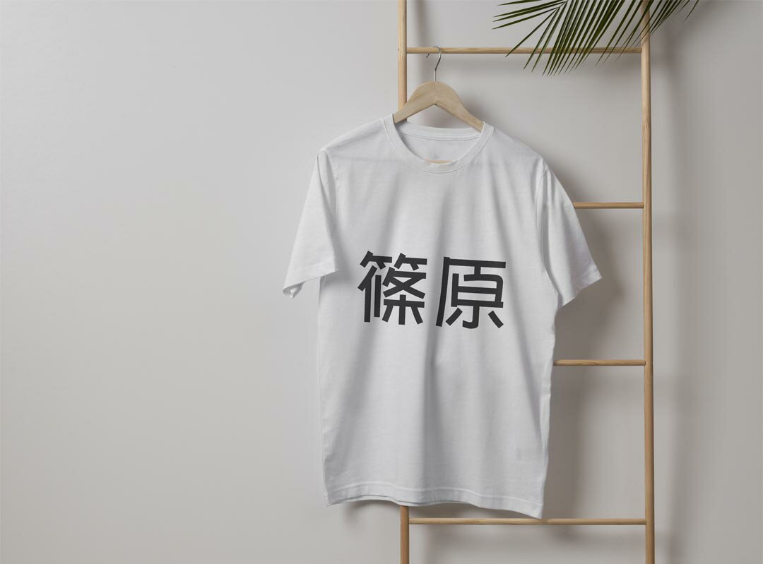 メンズ ドライTシャツ ホワイト 半袖 4.1オンス ジム トレーニング スポーツ 運動会 ドライアスレチック UVカット 紫外線遮蔽 吸水速乾 デザイン Tshirt S M L XL 2XL 3XL 4XL 5XL 6XL 021664 苗字 名前 篠原