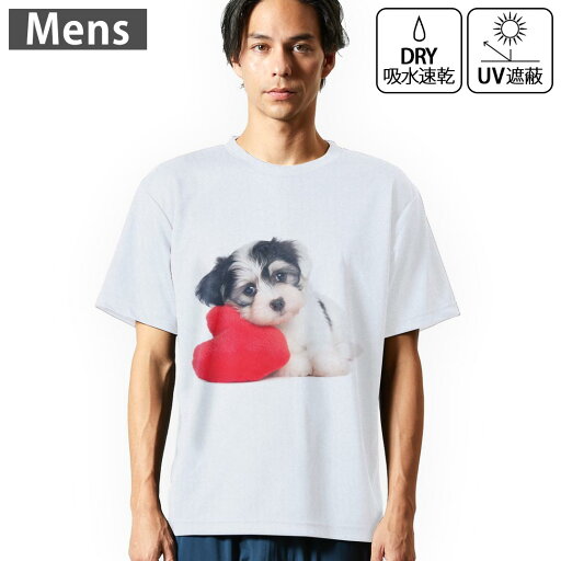 メンズ ドライTシャツ ホワイト 半袖 4.1オンス ジム トレーニング スポーツ 運動会 ドライアスレチック UVカット 紫外線遮蔽 吸水速乾 デザイン Tshirt S M L XL 2XL 3XL 4XL 5XL 6XL 002793 犬 動物 写真 メンズ ドライTシャツ ホワイト 半袖 4.1オンス ジム トレーニング スポーツ 運動会 ドライアスレチック UVカット 紫外線遮蔽 吸水速乾 デザイン Tshirt S M L XL 2XL 3XL 4XL 5XL 6XL 002793 犬 動物 写真