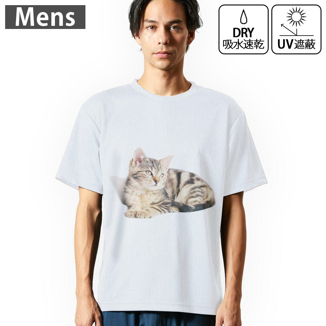 Rakuten - メンズ ドライTシャツ ホワイト 半袖 4.1オンス ジム トレーニング スポーツ 運動会 ドライアスレチック UVカット 紫外線遮蔽 吸水速乾 デザイン Tshirt S M L XL 2XL 3XL 4XL 5XL 6XL 022729 猫 かわいい