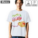 メンズ ドライTシャツ ホワイト 半袖 4.1オンス ジム トレーニング スポーツ 運動会 ドライアスレチック UVカット 紫外線遮蔽 吸水速乾 デザイン Tshirt S M L XL 2XL 3XL 4XL 5XL 6XL 014791 マンゴー 果物 夏