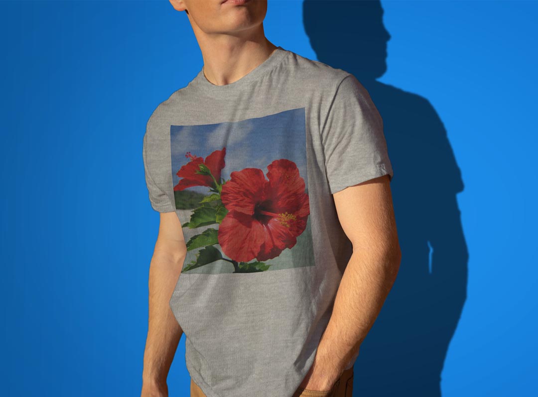 Tシャツ メンズ 半袖 ホワイト グレー デザイン S M L XL 2XL Tシャツ ティーシャツ T shirt 001577 ハイビスカス　青空