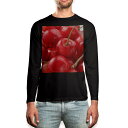ロング tシャツ メンズ 長袖 ブラック デザイン XS S M L XL 2XL ロンT ティーシャツ 黒 black T shirt long sleeve 001597 さくらんぼ 果実