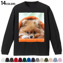 選べる14カラー 長袖リブ付きTシャツ メンズ レディース ユニセックス unisex 長袖 デザイン XS S M L XL 2XL Tシャツ ロング ティー...