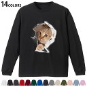 選べる14カラー 長袖リブ付きTシャツ メンズ レディース ユニセックス unisex 長袖 デザイン XS S M L XL 2XL Tシャツ ロング ティー...