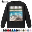 選べる14カラー 長袖リブ付きTシャツ メンズ レディース ユニセックス unisex 長袖 デザイン XS S M L XL 2XL Tシャツ ロング ティー...