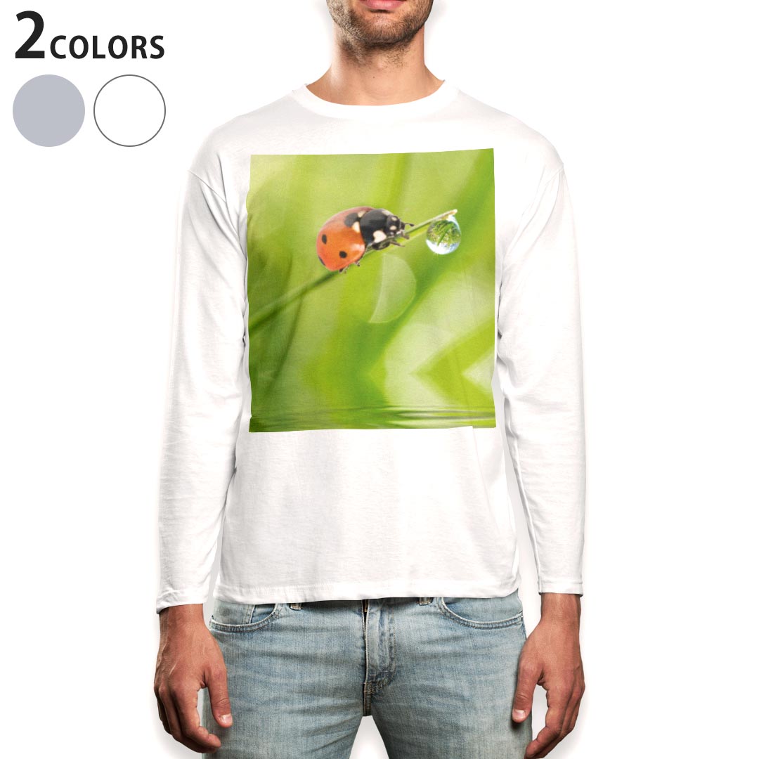 Long-Sleeved - ロング tシャツ メンズ 長袖 ホワイト グレー デザイン XS S M L XL 2XL Tシャツ ティーシャツ T shirt long sleeve 000820 てんとう虫　草