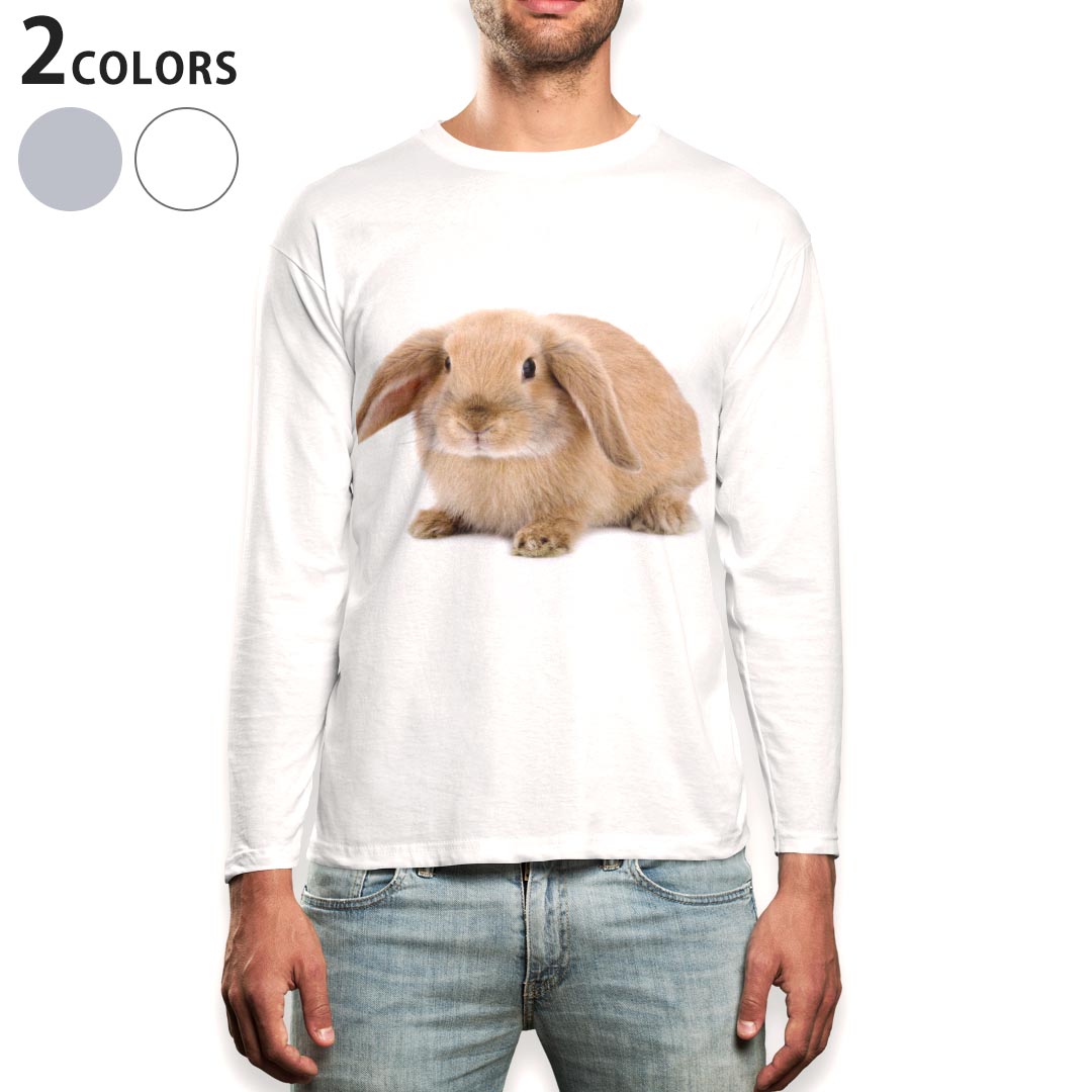 ���� t����� ��� Ĺµ �ۥ磻�� ���졼 �ǥ����� XS S M L XL 2XL T����� �ƥ�������� T shirt long sleeve 001112 ��������ưʪ