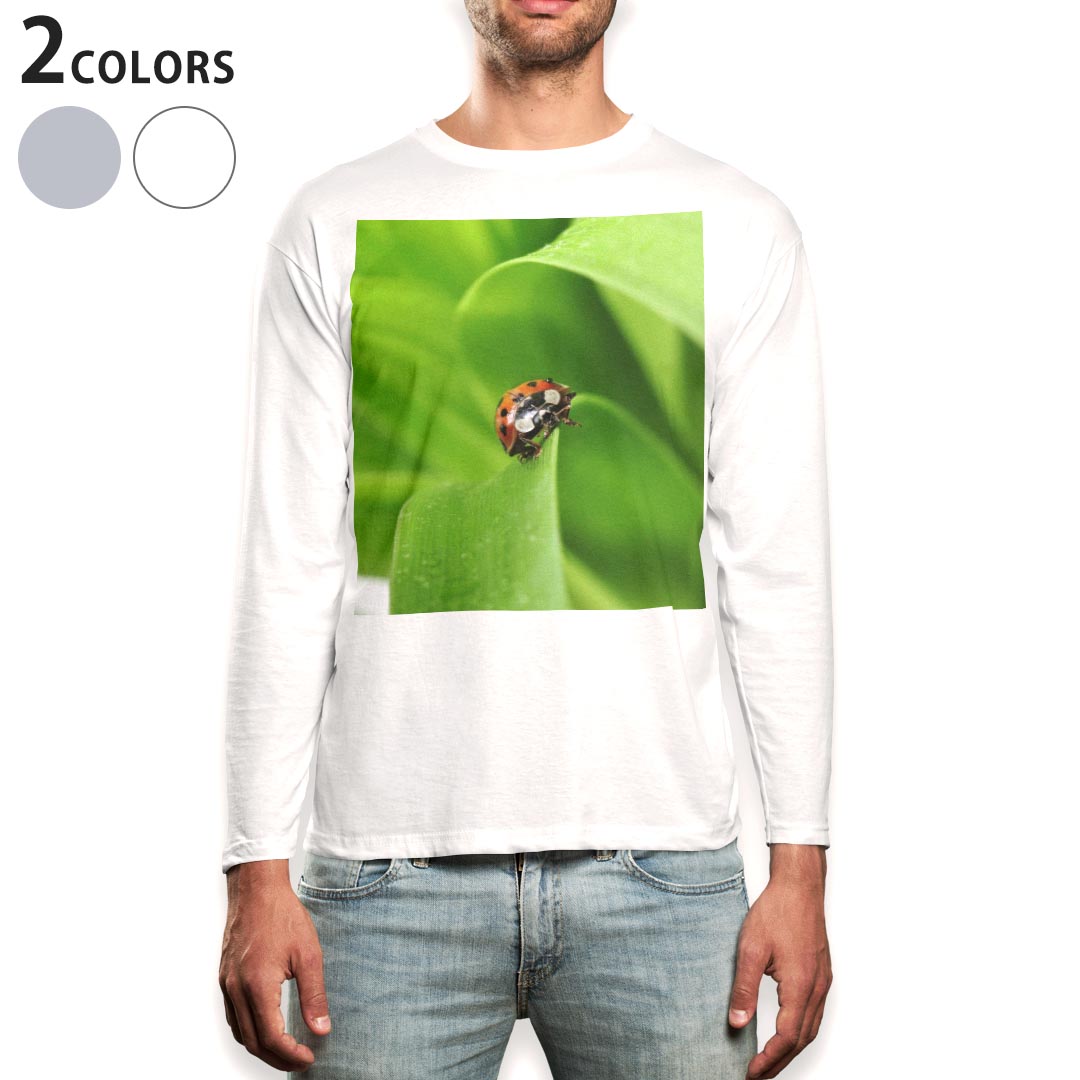 ロング tシャツ メンズ 長袖 ホワイト グレー デザイン XS S M L XL 2XL Tシャツ ティーシャツ T shirt long sleeve 001144 てんとう虫 草
