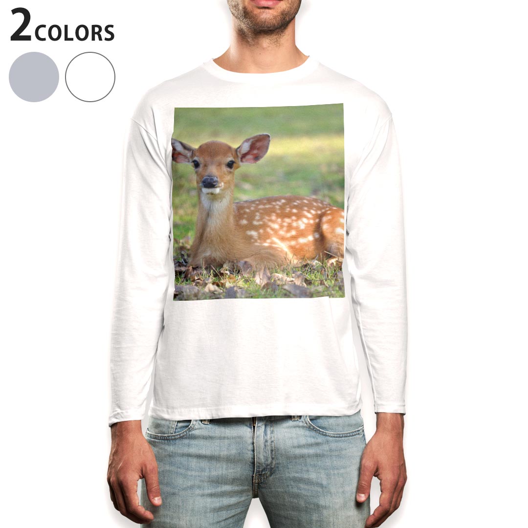 ロング tシャツ メンズ 長袖 ホワイト グレー デザイン XS S M L XL 2XL Tシャツ ティーシャツ T shirt long sleeve 002579 鹿 動物 写真