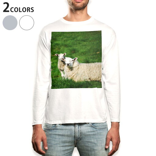 ロング tシャツ メンズ 長袖 ホワイト グレー デザイン XS S M L XL 2XL Tシャツ ティーシャツ T shirt long sleeve 002585 ひつじ 動物 写真 ロング tシャツ メンズ 長袖 ホワイト グレー デザイン XS S M L XL 2XL Tシャツ ティーシャツ T shirt long sleeve 002585 ひつじ 動物 写真