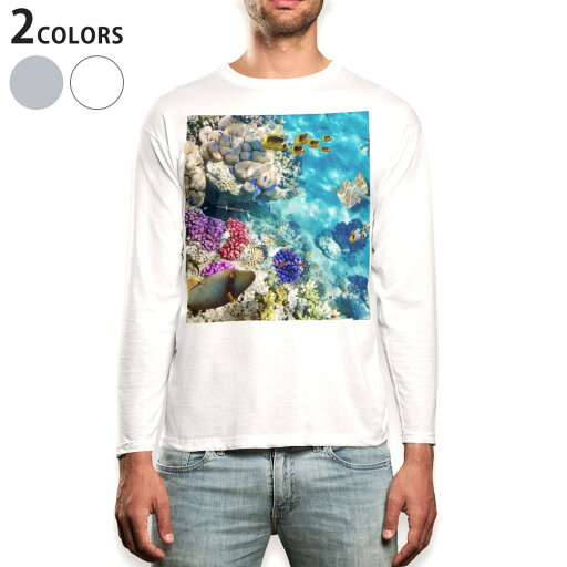 ロング tシャツ メンズ 長袖 ホワイト グレー デザイン XS S M L XL 2XL Tシャツ ティーシャツ T shirt long sleeve 008923 写真 魚 海 珊瑚 ロング tシャツ メンズ 長袖 ホワイト グレー デザイン XS S M L XL 2XL Tシャツ ティーシャツ T shirt long sleeve 008923 写真 魚 海 珊瑚
