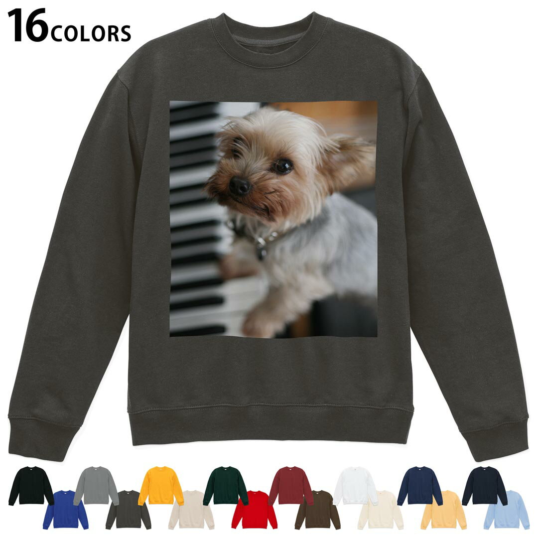 トレーナー メンズ レディース 男性 女性 長袖 ホワイト グレー ブラック チャコール 茶色 レッド　赤 バーガンディ ダークブラウン　オレンジ アイビーグリーン 緑 ゴールド 黄色 ライトピンク ピンク ロイヤルブルー　ネイビー パープ...