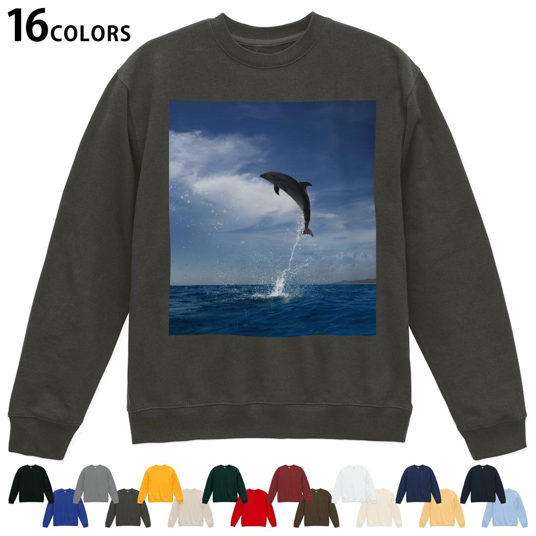 ���٤�16���顼�ȥ졼�ʡ� ��� ��ǥ����� ��˥��å��� Ĺµ �ǥ����� S M L XL 2XL sweatshirt��trainer �������å� 010...