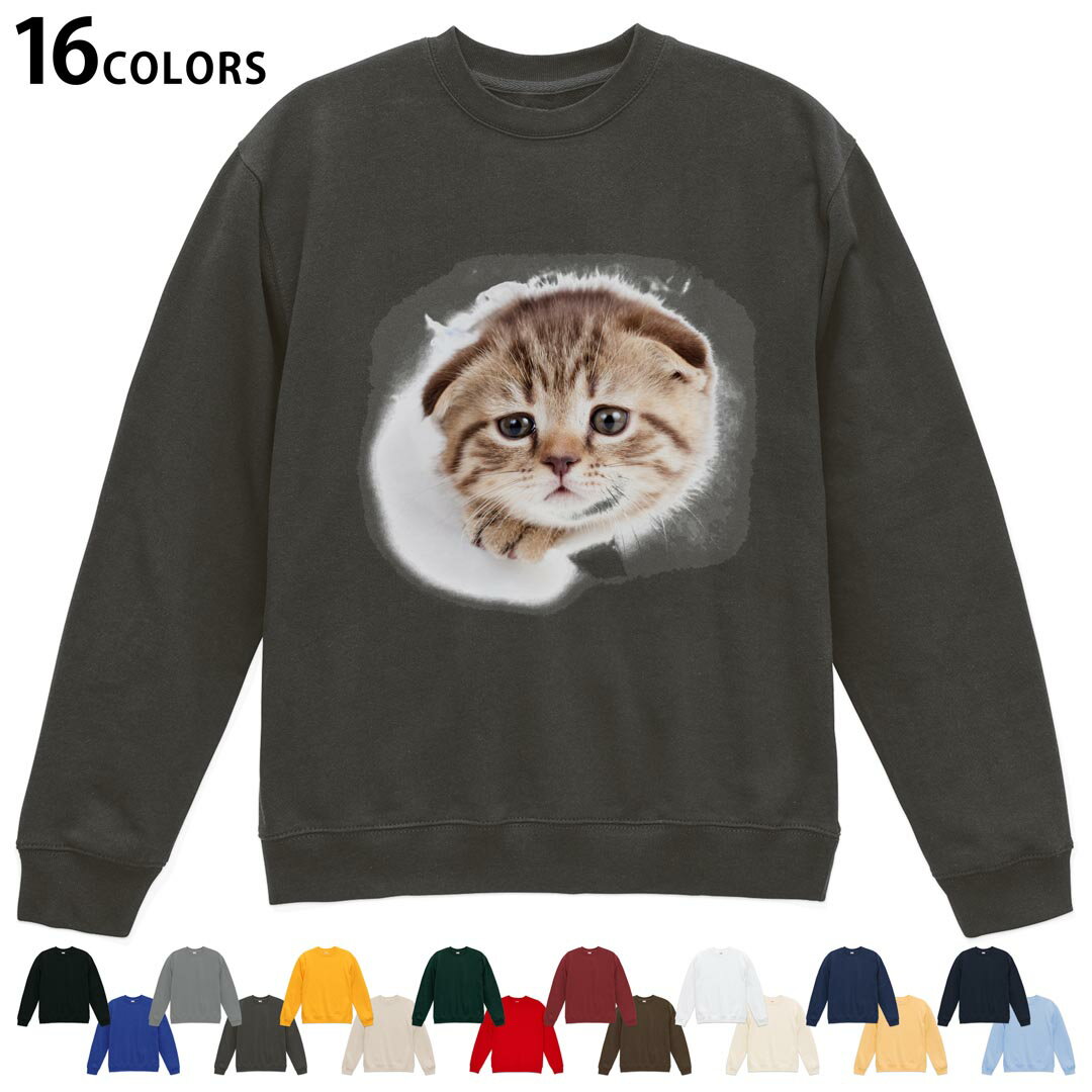 選べる16カラートレーナー メンズ レディース ユニセックス 長袖 デザイン S M L XL 2XL sweatshirt　t..