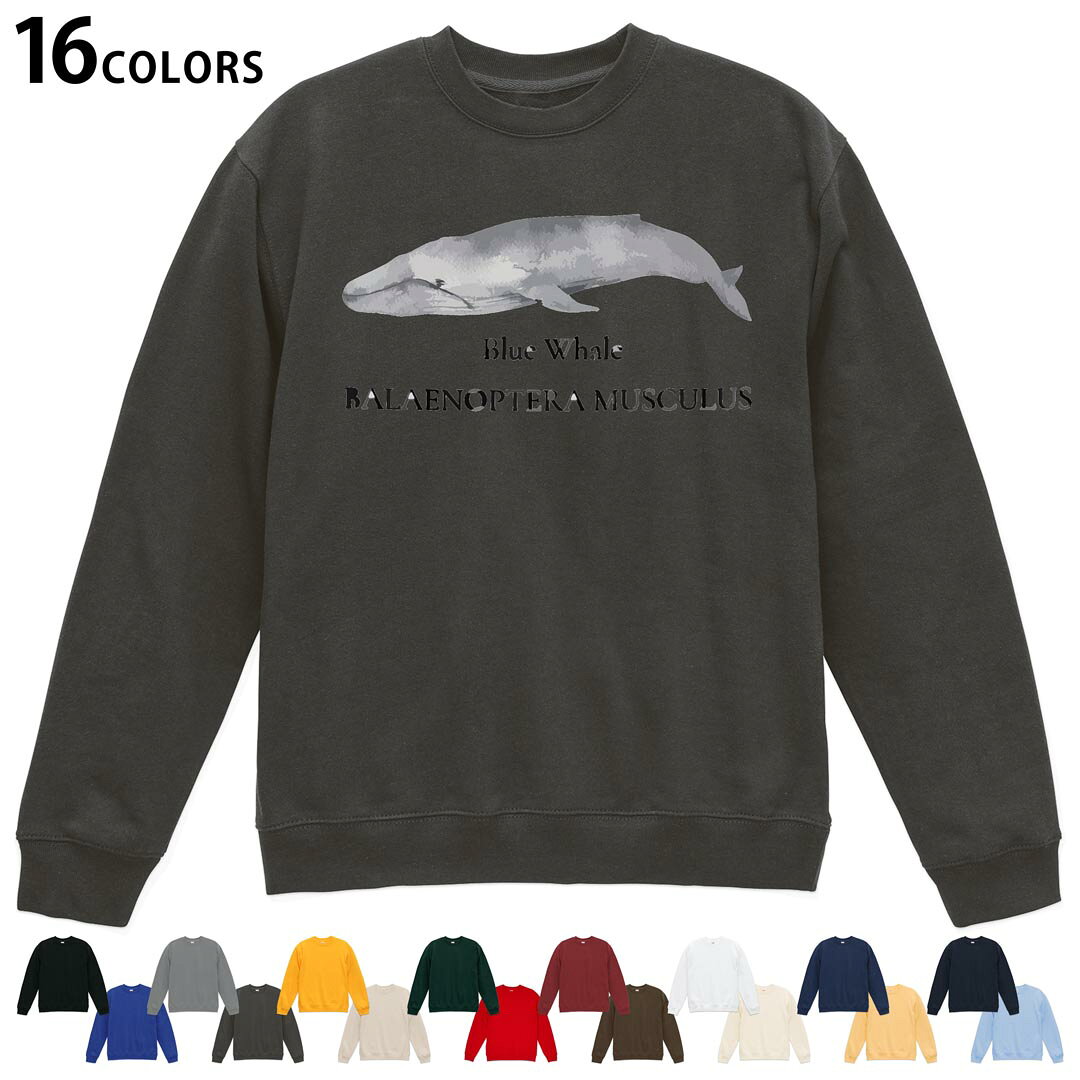 選べる16カラートレーナー メンズ レディース ユニセックス 長袖 デザイン S M L XL 2XL sweatshirt　trainer スウェット 019741 海の生物 シロナガスクジラ blue whale