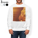 トレーナー メンズ 長袖 ホワイト グレー ブラック デザイン S M L XL 2XL sweatshirt trainer 白 黒 灰色 スウェット 001251 紅葉 秋