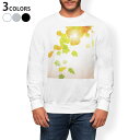 トレーナー メンズ 長袖 ホワイト グレー ブラック デザイン S M L XL 2XL sweatshirt trainer 白 黒 灰色 スウェット 001279 紅葉 秋 銀杏