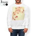トレーナー メンズ 長袖 ホワイト グレー ブラック デザイン S M L XL 2XL sweatshirt trainer 白 黒 灰色 スウェット 002469 紅葉 イラスト