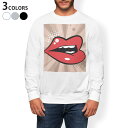 g[i[ Y  zCg O[ ubN fUC XS S M L XL 2XL sweatshirt@trainer@@@DF@XEFbg 006386 O@CXg