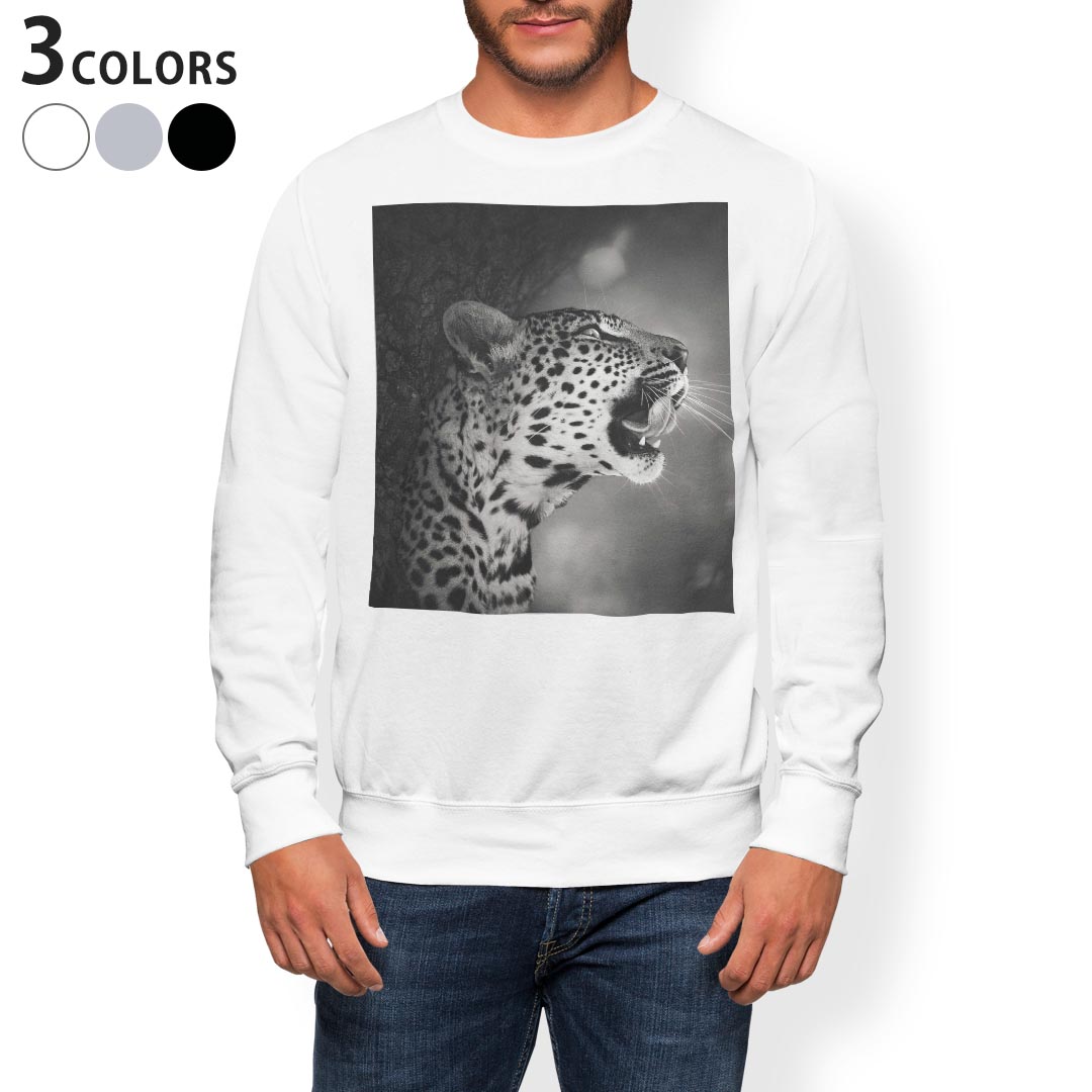 g[i[ Y  zCg O[ ubN fUC XS S M L XL 2XL sweatshirt@trainer@@@DF@XEFbg 007328 ʐ^@mN@^@qE