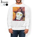 g[i[ Y  zCg O[ ubN fUC XS S M L XL 2XL sweatshirt@trainer@@@DF@XEFbg 007956 ʐ^@J{`@nEB@[@hN