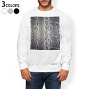 g[i[ Y  zCg O[ ubN fUC XS S M L XL 2XL sweatshirt@trainer@@@DF@XEFbg 008763 wr@͗l@