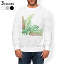 g[i[ Y  zCg O[ ubN fUC XS S M L XL 2XL sweatshirt@trainer@@@DF@XEFbg 015669 ؁@؁@R@A@mN