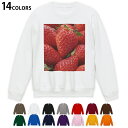 Iׂ14J[g[i[ Y  zCg O[ ubN fUC S M L XL 2XL sweatshirt@trainer@@@DF@XEFbg 001592 䕁@ʎ