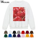 選べる14カラートレーナー メンズ 長袖 ホワイト グレー ブラック デザイン S M L XL 2XL sweatshirt trainer 白 黒 灰色 スウェット 001597 さくらんぼ 果実