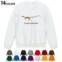 選べる14カラートレーナー メンズ 長袖 ホワイト グレー ブラック デザイン S M L XL 2XL sweatshirt　trainer　白　黒　灰色　スウェット 019776 恐竜 Compsognathus コンプソグナトゥス