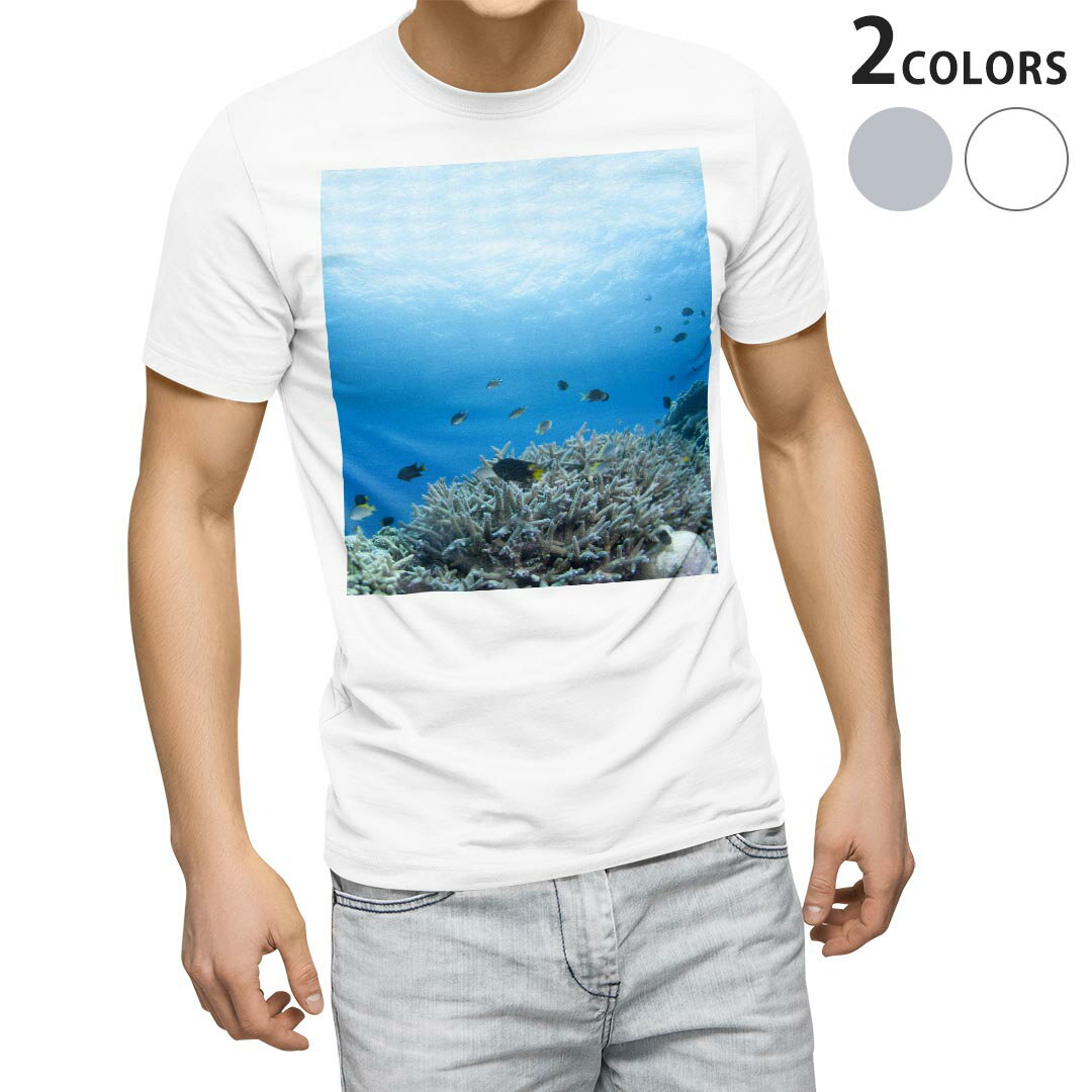 Tシャツ メンズ 半袖 ホワイト グレー デザイン S M L XL 2XL Tシャツ ティーシャツ T shirt 000060 海　魚　自然　サンゴ