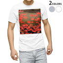 Tシャツ メンズ 半袖 ホワイト グレー デザイン S M L XL 2XL Tシャツ ティーシャツ T shirt 000139 秋 もみじ 風景 紅葉