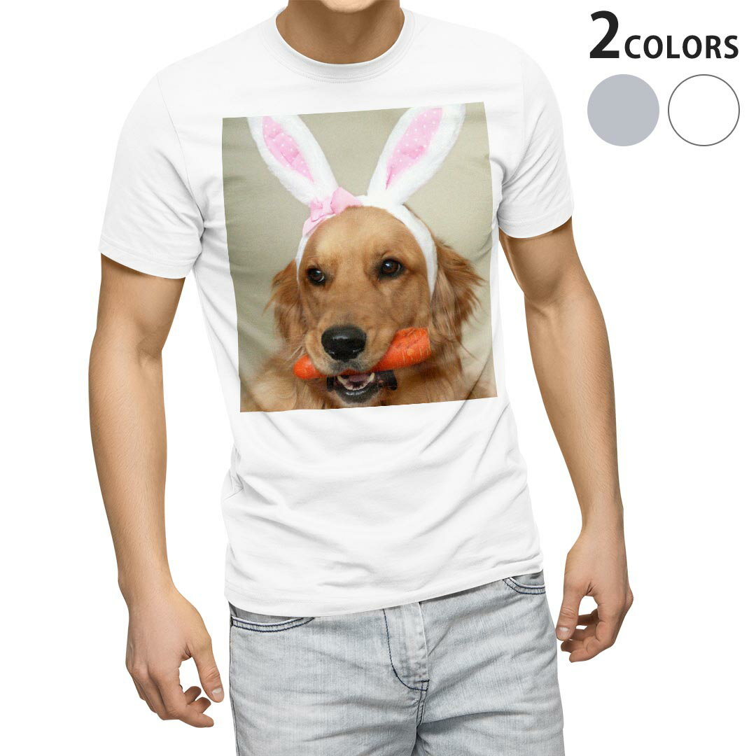 Other - Tシャツ メンズ 半袖 ホワイト グレー デザイン S M L XL 2XL Tシャツ ティーシャツ T shirt 001111 犬　ゴールデン　動物
