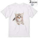 tシャツ メンズ 半袖 ホワイト グレー デザイン S M L XL 2XL Tシャツ ティーシャツ T shirt 001194 ネコ　動物