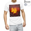Tシャツ メンズ 半袖 ホワイト グレー デザイン S M L XL 2XL Tシャツ ティーシャツ T shirt 001253 紅葉 秋