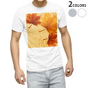 Tシャツ メンズ 半袖 ホワイト グレー デザイン S M L XL 2XL Tシャツ ティーシャツ T shirt 001301 紅葉 秋
